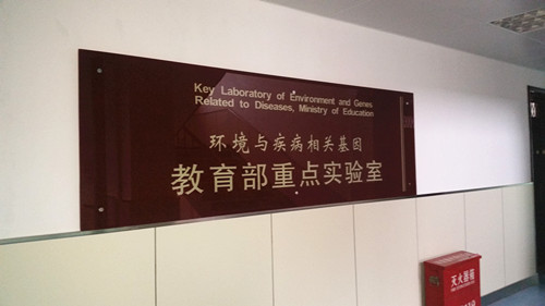 &#20122;&#26032;&#32593;&#31449;&#95;&#20122;&#26032;&#40;&#20013;&#22269;&#41;